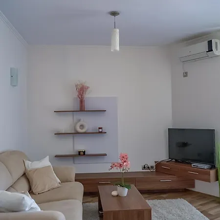 Dolphin Coast Apartamento